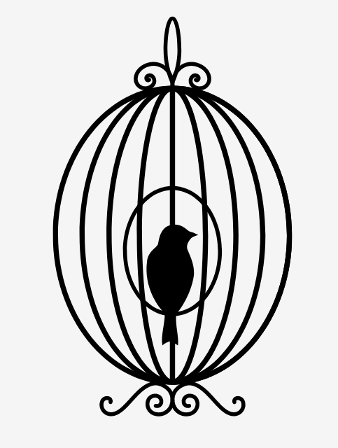 a bird in a cage, symbolizing the societal constraints and labels placed on introverts.