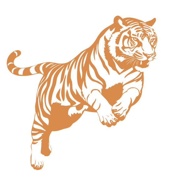 a tiger leaping, symbolizing growth and embracing the unknown with courage and determination