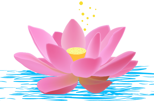lotus fully bloomed on the surface of water, symbolizing rebirth and renewal