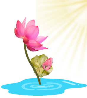 A lotus stretching towards the sun, symbolizing reaching for potential, growth, fulfillment, and renewal.