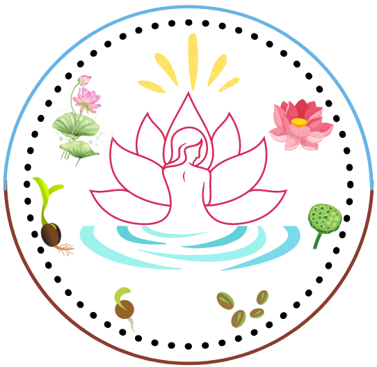 girl surrounded by the stages of the lotus lifecycle, symbolizing renewal and rebirth