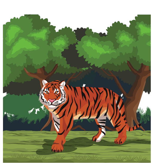 tiger roaming freely in the wild, symbolizing embracing growth and liberation