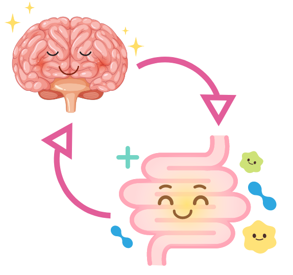 brain and intestines surrounded by probiotics, with arrows to demonstrate the gut-brain connection